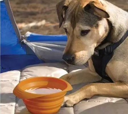 東莞<a href='http://m.tofinoecce.com/' class='keys' title='點擊查看關于帝博硅膠制品廠的相關信息' target='_blank'>帝博硅膠制品廠</a>