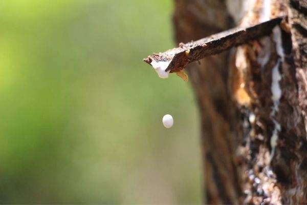 41f221eaf42.jpg 41f221eaf42.jpg